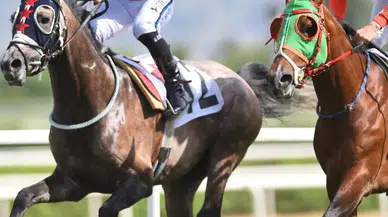 Borçka'dan Gazi Koşusu'na Gurur Yolculuğu: Görkem Özçelik Hazır!