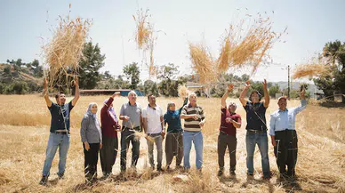 Mersin’de ata tohumlarının hasadı başladı