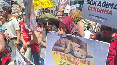Hayvanseverlerden 'yasal düzenleme' tepkisi