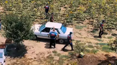   Hazine arazisine Hint keneviri eken şüpheli yakalandı