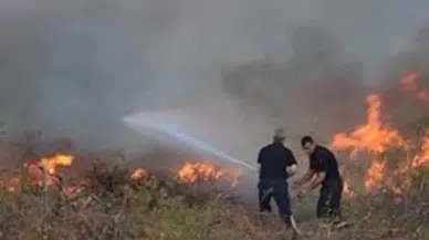 Erdemli'de orman yangını kontrol altına alındı