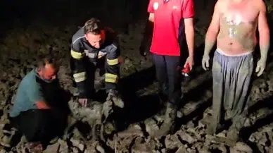 Çamura saplanan oğlak, itfaiye ekiplerince kurtarıldı