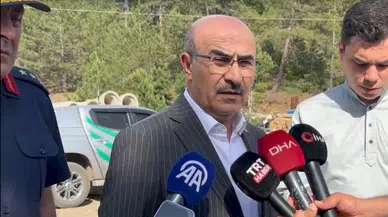 Bursa'da orman yangını; karadan ve havadan müdahale ediliyor (4)