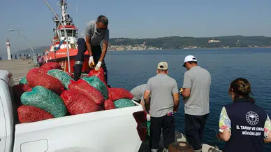 Çanakkale'de kaçak yolla avlanan 3 ton kum şırlanı ele geçirildi