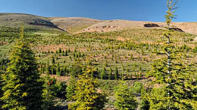 Bakan Özhaseki: Çevre yatırımları için 50 milyar TL nakdi destek sağladık