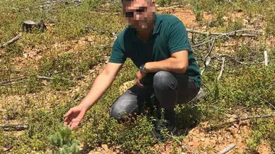 Manavgat Orman İşletme Müdürlüğü’nde hibe ağaçların satışına zimmet soruşturması; 11 gözaltı