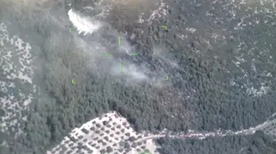 Milas'ta orman yangını (2)