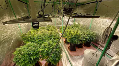 İzmir'de jandarmanın geçen ay düzenlendiği uyuşturucu operasyonlarında, 9 şüpheliye tutuklama