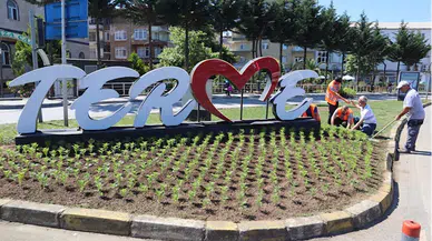 Terme Belediyesi çevre düzenlemesinde kendi ürettiği çiçekleri kullanıyor