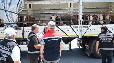 Kırıkkale’de kurbanlık sevkiyatı denetimi