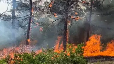 Bursa’da orman yangını; karadan ve havadan müdahale ediliyor (3)
