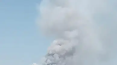 Bursa’da orman yangını; karadan ve havadan müdahale ediliyor