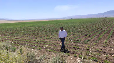 Silopi’ye ‘Sera Organize Tarım Bölgesi’ 
