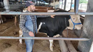 Kurban satıcılarına 'sahte para' uyarısı