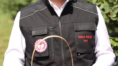 Düzce'de alternatif ürün dağ çileğinin hasadına başlandı