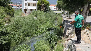 Edremit'te sinek ve haşereyle mücadele