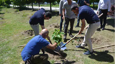 Espiye'de "Dünya Çevre Günü" etkinliği düzenlendi