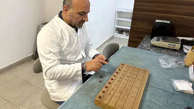 Kahverengi kokarcanın fındığa zararlı etkileri araştırılıyor