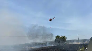 Çanakkale'de anız yangını, tarım arazisi ve ormana sıçradı (2)