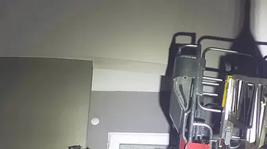 Bolu'da balkonda mahsur kalan kediyi itfaiye ekipleri kurtardı