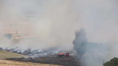 Manisa'da buğday tarlasında yangın; 100 dönüm alan yandı