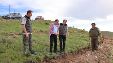 Bayburt Valisi Eldivan, Aslan Dağı'nda Dev Orman Projesini Denetledi