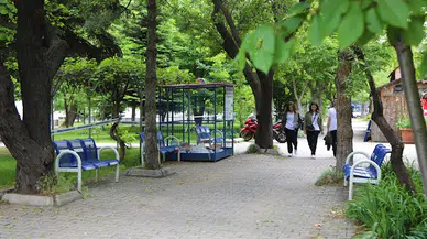 2023 Yeşil Üniversite Endeksi'de, ilk 100'de 6 Türk üniversitesi yer aldı