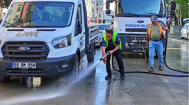 Vezirköprü Belediyesi park ve bahçelerde budama çalışması yapıyor