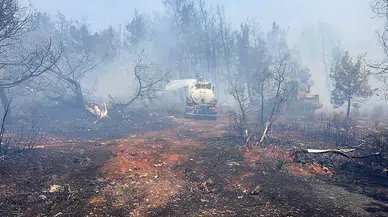 Antalya'da iki ayrı noktada yangın