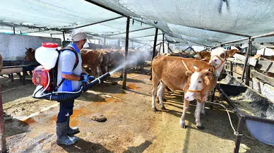 İzmir'de kurban satış yerleri ilaçlanıyor