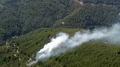 Manavgat'ta orman yangını