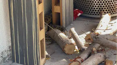 Karabük'te apartmanın bahçesine giren yılanı itfaiye yakaladı