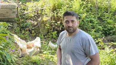 Tavuklarını ayılardan koruyabilmek için yerden 25 metre yükseklikte kümes yaptı
