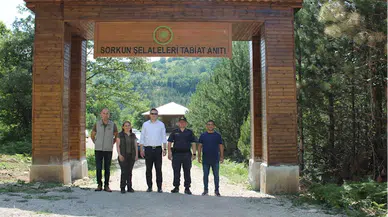Gerze Kaymakamı Arabacı, Sorgun Şelalesi'ndeki çalışmaları inceledi