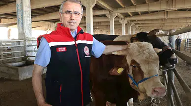 Diyarbakır’da 115 bin hayvan, kurbanlık için satışa çıkarıldı