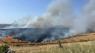 Edirne’de 110 dekar buğday ekili tarla yandı 