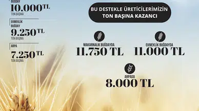 TMO, 2024 hububat satış fiyatlarını belirledi