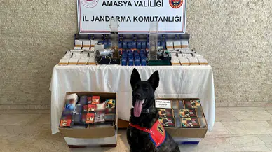 Amasya'da 18 bin makaron ele geçirildi