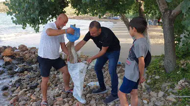 Sahilde ölü ceylan yavrusu bulundu