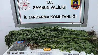 Samsun'da uyuşturucu operasyonlarında 7 kişi yakalandı