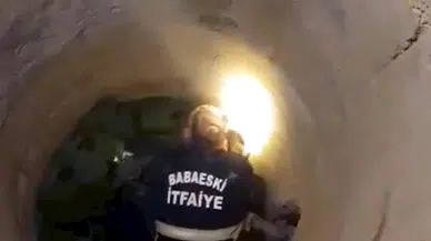  Kanala düşen kediyi itfaiye kurtardı