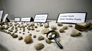 Bolu'da 1200 rakımda bulunan deniz canlısı fosilleri öğrencilerin doğa tarihine merakını artırdı