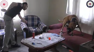 Zonguldak'ta uyuşturucuya 3 tutuklama