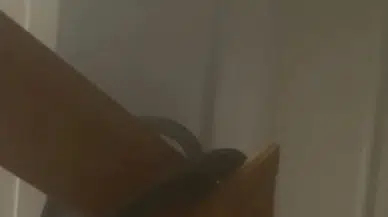 İstanbul- Bakırköy'de dizi ve film oyuncusunun annesinin evinde yangın paniği