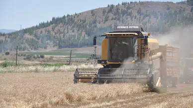 Gaziantep’te, arpa ve buğday hasadı sürüyor