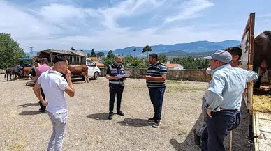 Dodurga'dan kısa kısa