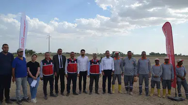 Yem bitkisi sorgum sudan otu tohumu toprakla buluştu