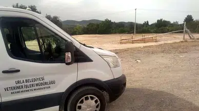 Seferihisar'da 5 büyükbaşta 'şap' hastalığı tespit edildi; 10 kilometrelik alanda kurban satışı yasaklandı