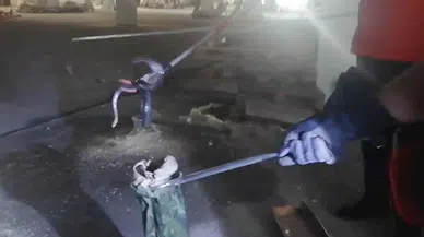 Uzmandan yılan ısırması uyarısı: Kan akışı yavaşlayacak şekilde tampon yapın