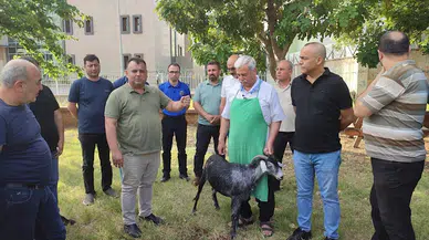 Kozan Halk Eğitim Merkezi'nde kurban kesim kursu açıldı